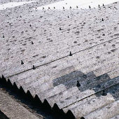 Read more about the article Asbestos removal from Roofs, Walls and Eaves, Flat Sheets & Flashings